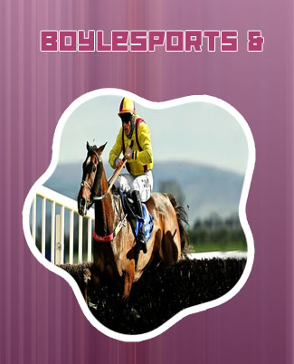 Boylesports horse