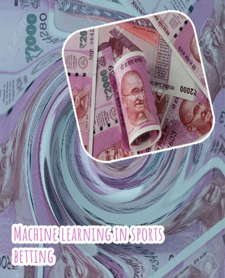 Daily wager best bets in Indian Rupees