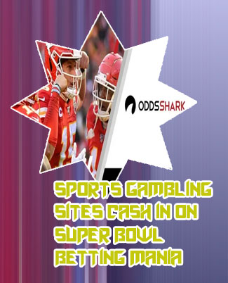 Odds to win the super bowl next year in Indian Rupees